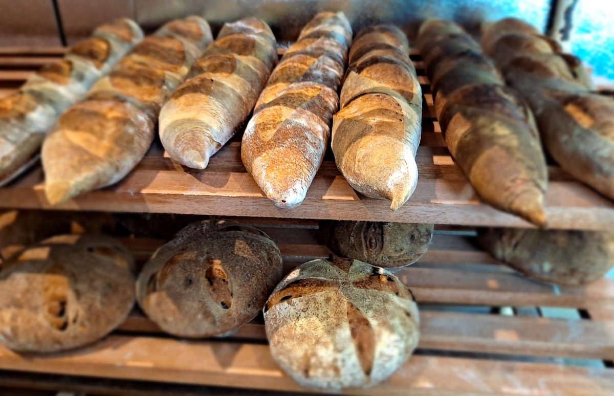 bread at toscano brothers bakery